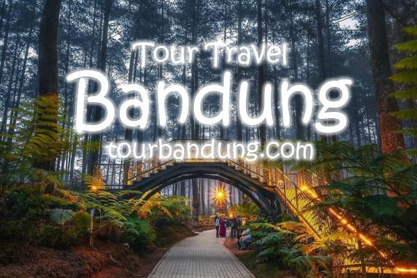 wina tour and travel bandung